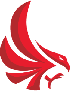 Calgary Surge Basketball Logo