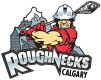 icon-roughnecks